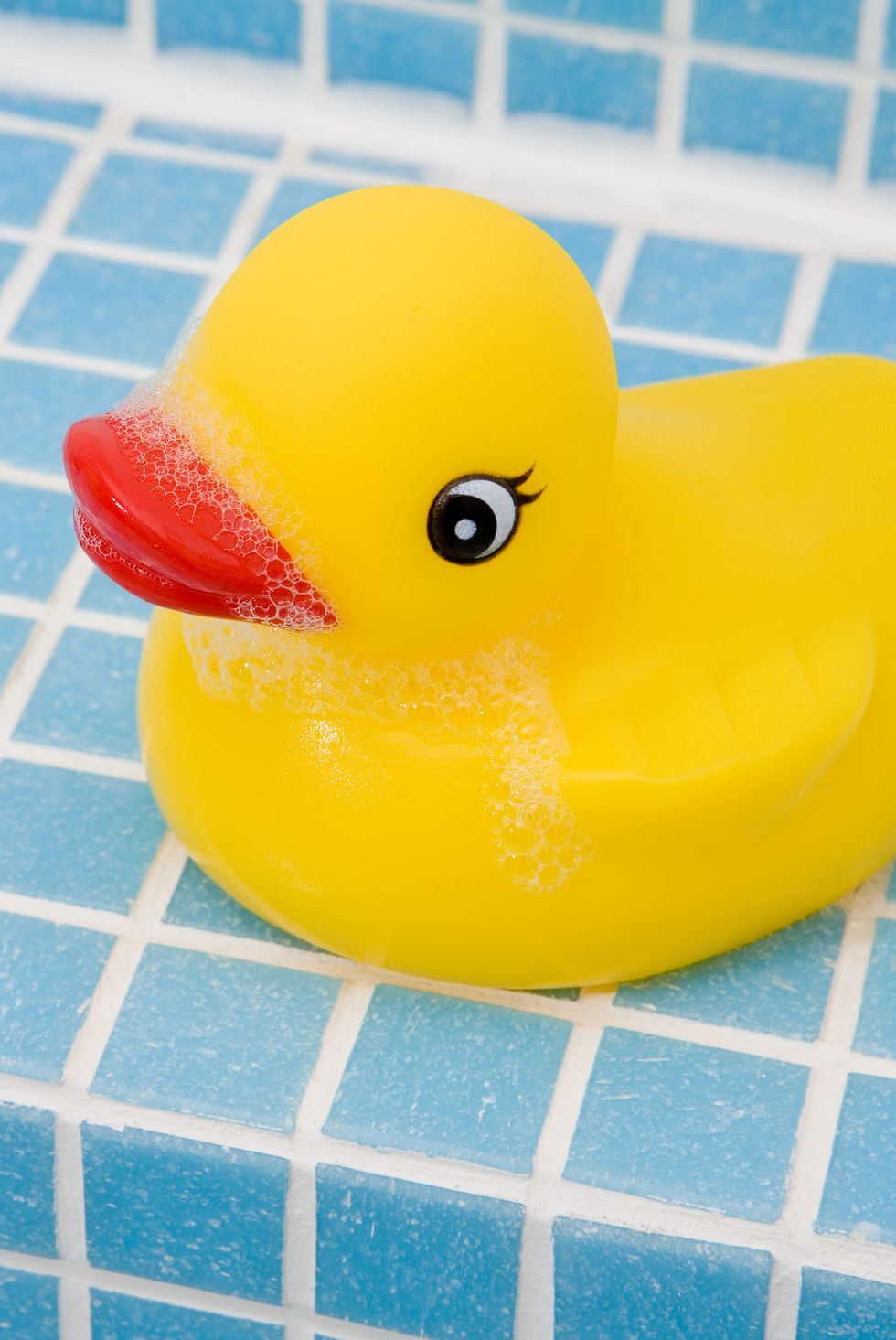 rubber-duck-royalty-free-image-1579051294 | Bucks County Cleaning